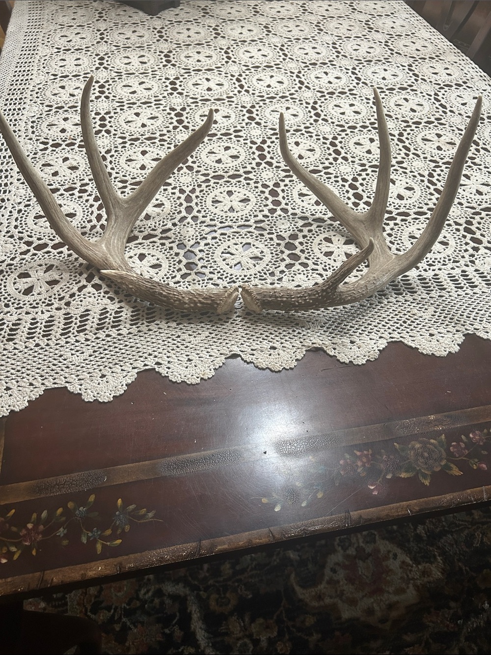 Rustic Natural Deer Antlers - Brown Home Art Accent